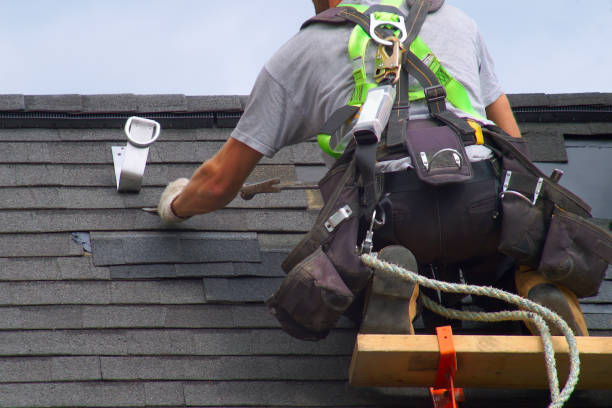 Best Roof Moss and Algae Removal  in Kettle Falls, WA